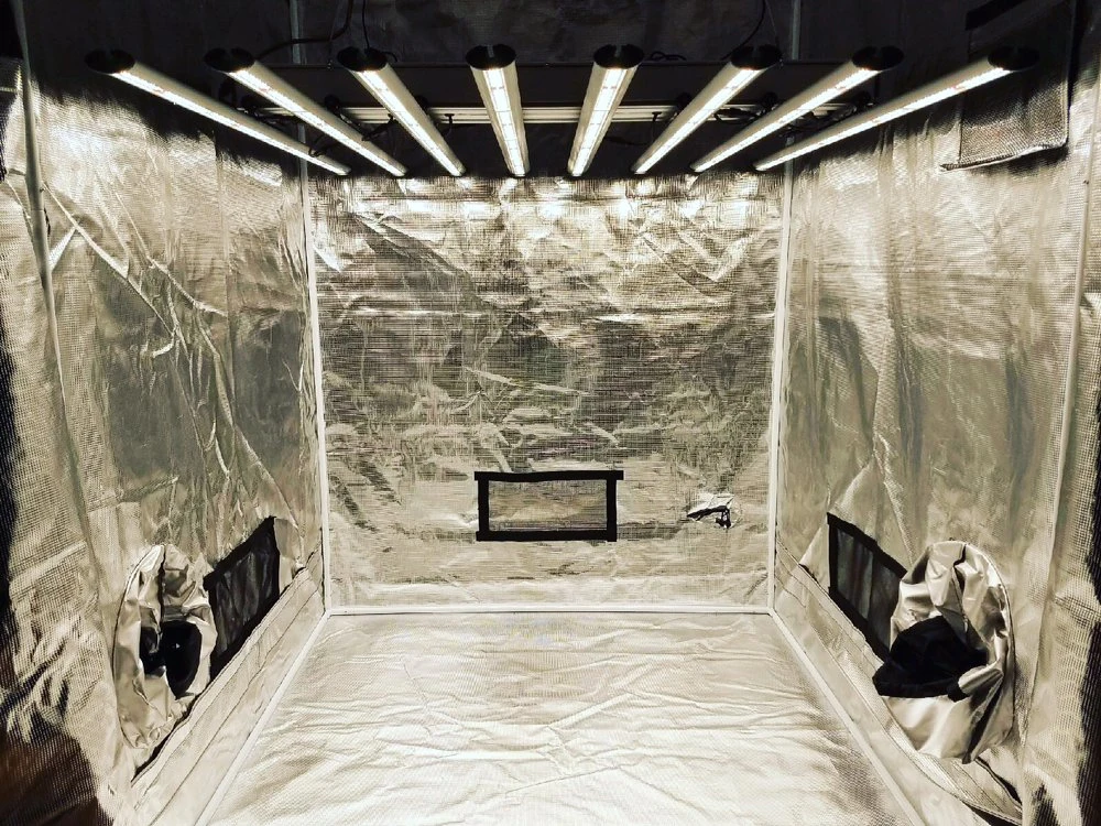 Indoor Hydroponics 600D Mylar Garden Greenhouses Good Reputation new Grow tent Boxes Stealth and Dark Grow Rooms