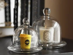 bell jar cloche with glass base and knob