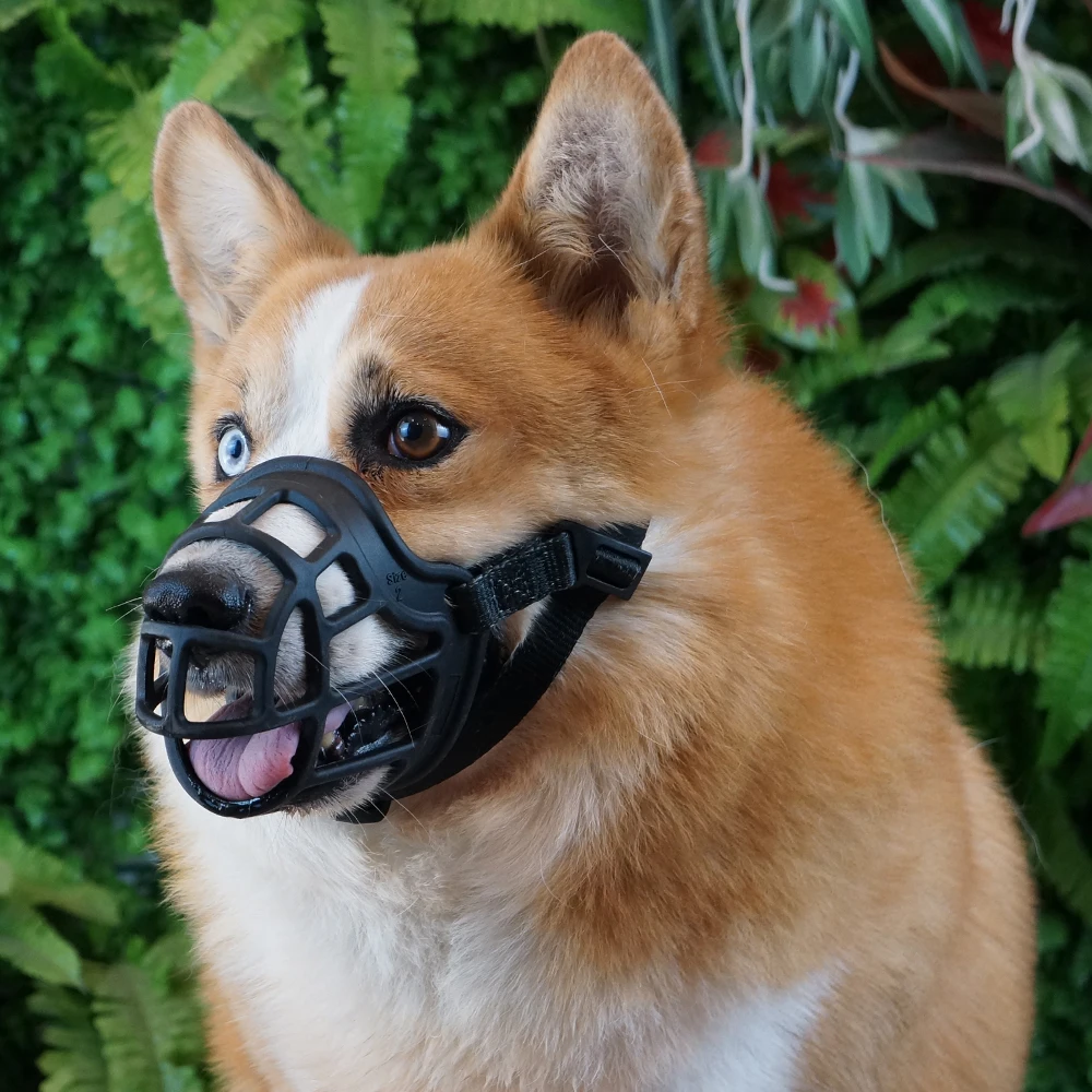 Высококачественный ТПЭ предотвращает укусы, снимает лай, прикрывает наморду собаки