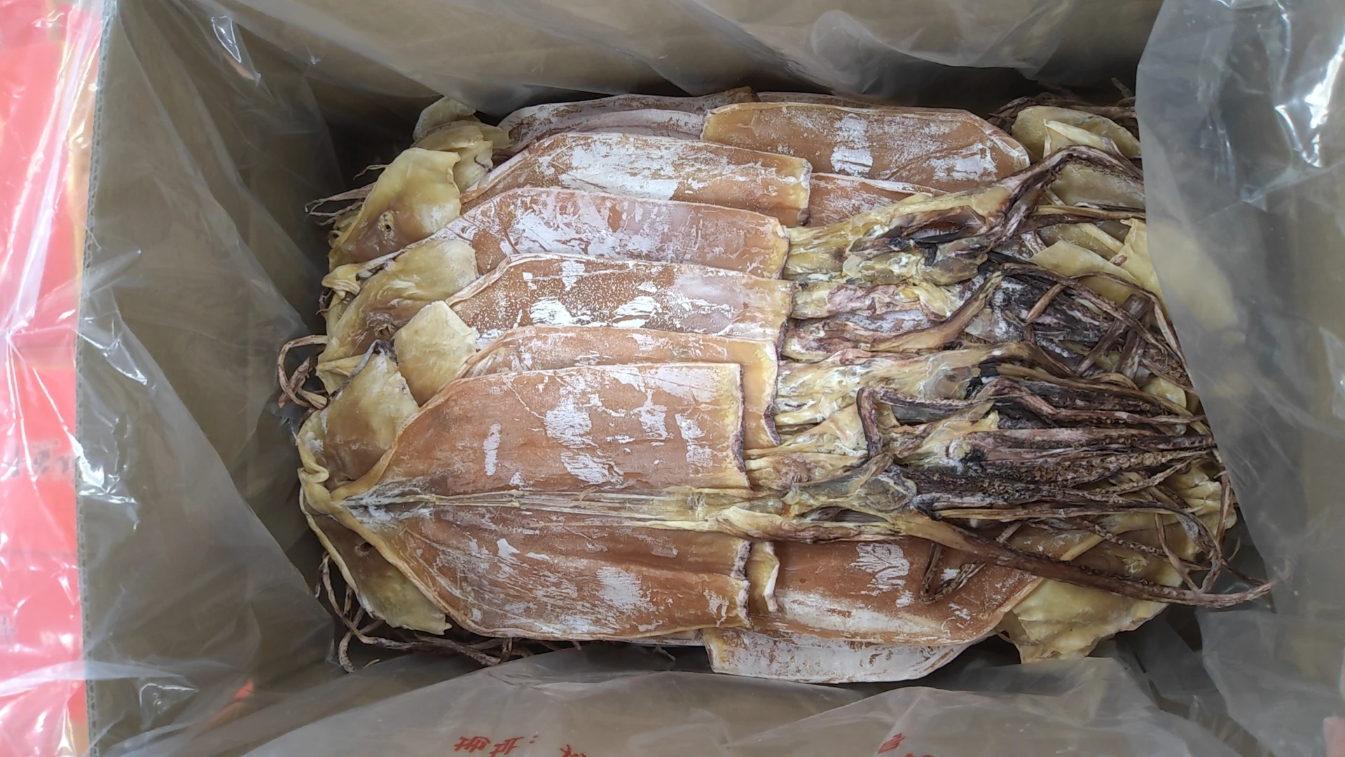 dried dosidicus gigas squid Factory price skin off dried squid