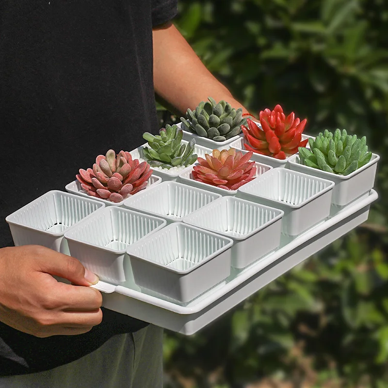 Factory direct sale for square succulent pots indoor planting with high return purchasing rate