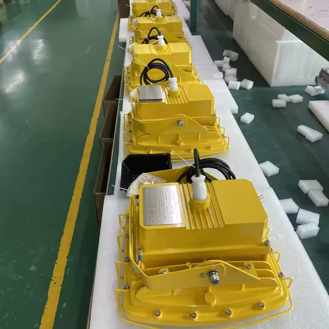 Ex-proof Led Light Gas Station 20W 80W 100W 150W 200W Surface Mounted Recessed LED Class I Division 2 Atex Led Flood Light