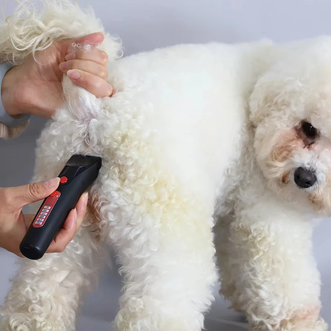 MC-220 Rechargeable Electrical Pet Trimmer lightweight rechargeable long running time pet dog clippers