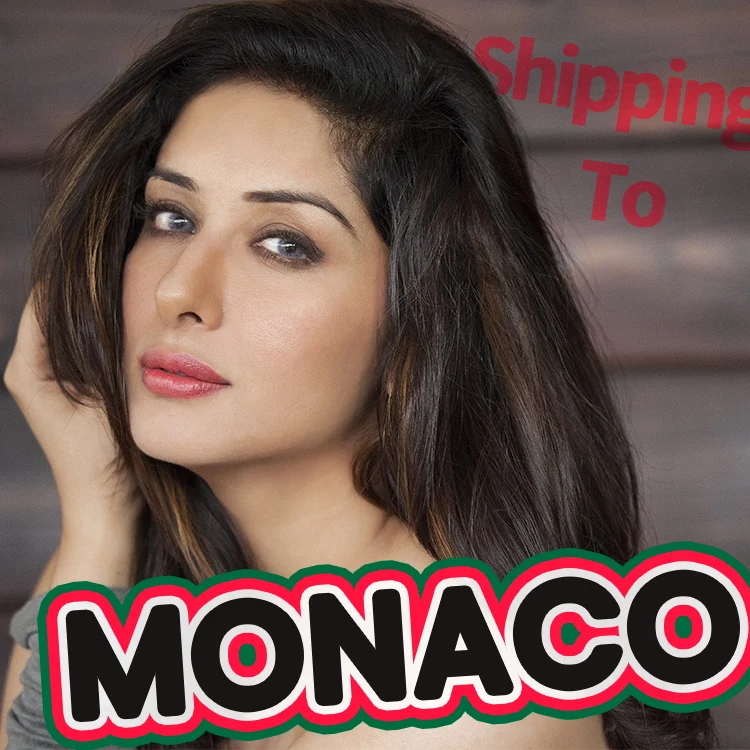 shipping to Monaco from china freight forwarder under ddp by sea air rail