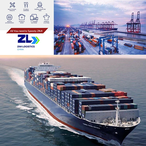 EXP SERVICE 40HQ China Consolidation Services With Chassis Shenzhen To Los Angeles USA