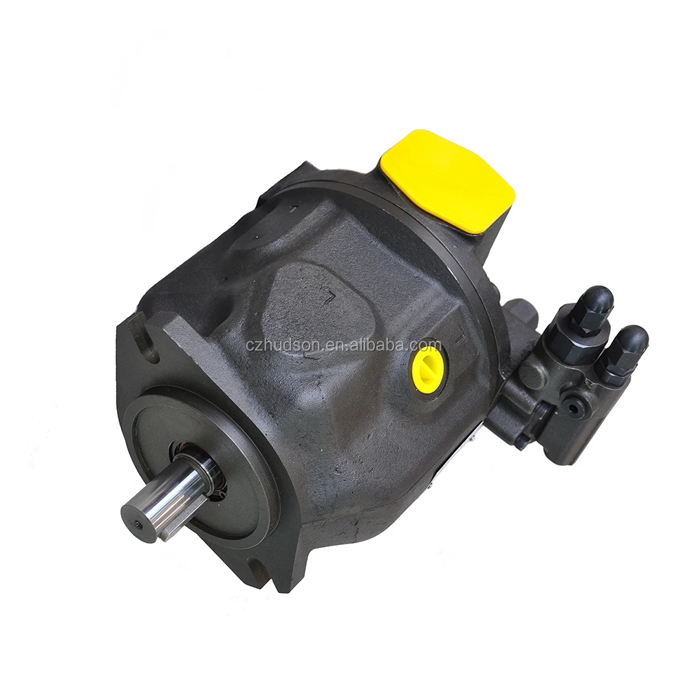 A10vd43sr1rs5 Spare Parts Uchida A10v100dr Rexroth Hydraulic Pump A10vo100 For