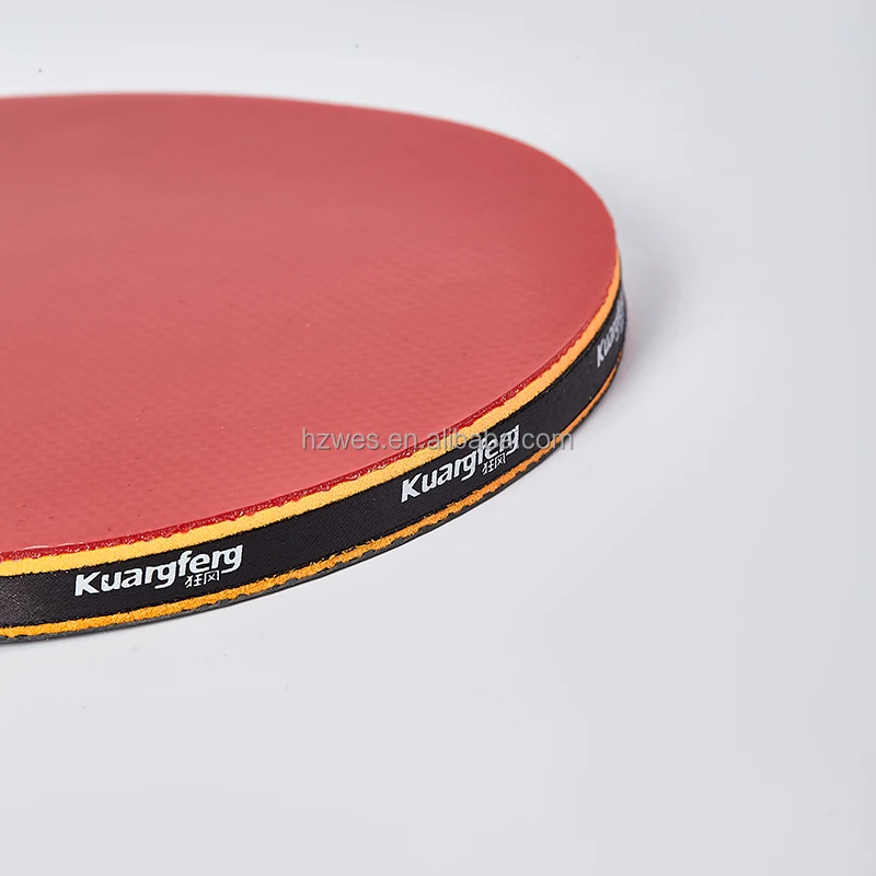 Factory Wholesale Professional Table Tennis Paddle 2 Star-ITTF Approved Racket Made of Wood and Rubber Material