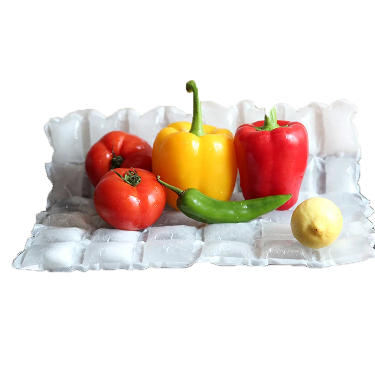 Food Grade Cold Cooling Food Delivery Dry Ice Pack