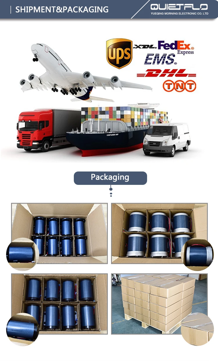 12V/24V/36V/48V Permanent magnet  DC Pumps Motor