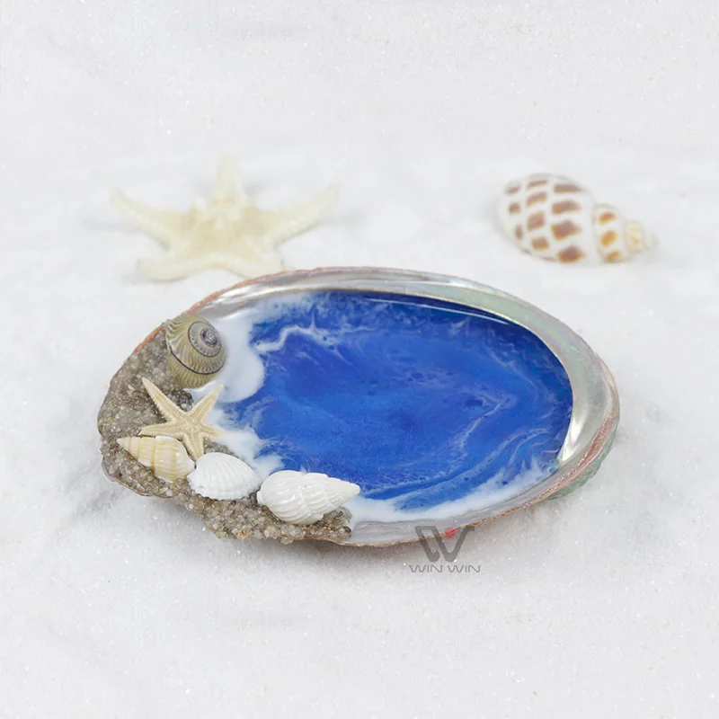 Raw Clean Dry Paua Abalone Shells Ocean Theme Sea Wave Resin Fill Blue Green Abalone Shell For Sage Smudging Kits Cheap Price