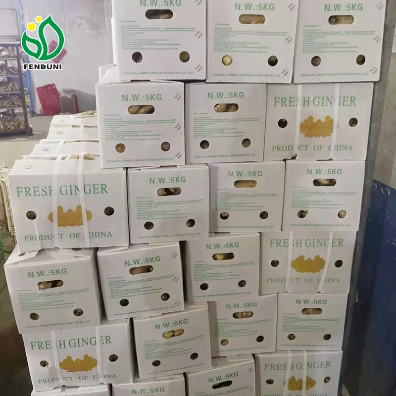 Good service Fresh Ginger And Dried Ginger For Export From China