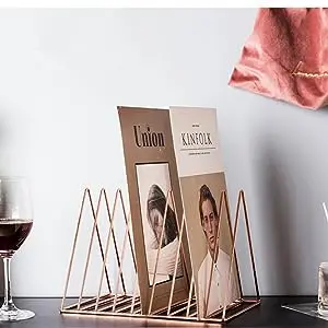 Acrylic Triangle File Folder Racks and Magazine Holder Metal bookshelf vinyl record storage