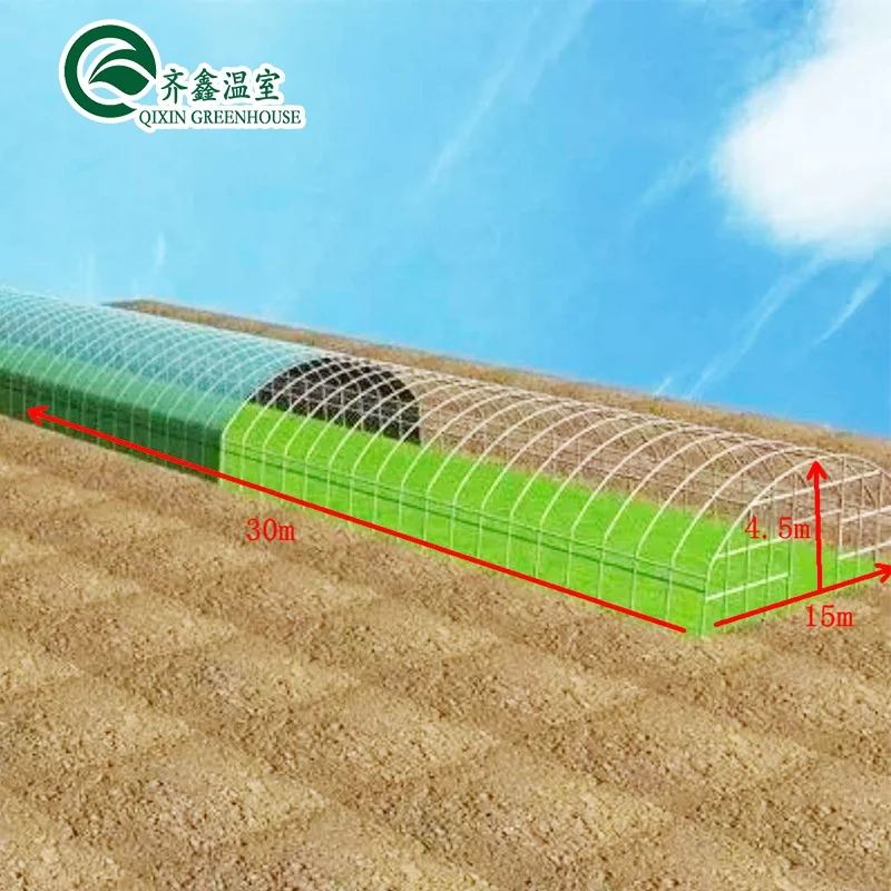 Low cost agricultural greenhouse for sale/tower garden/aduaponics