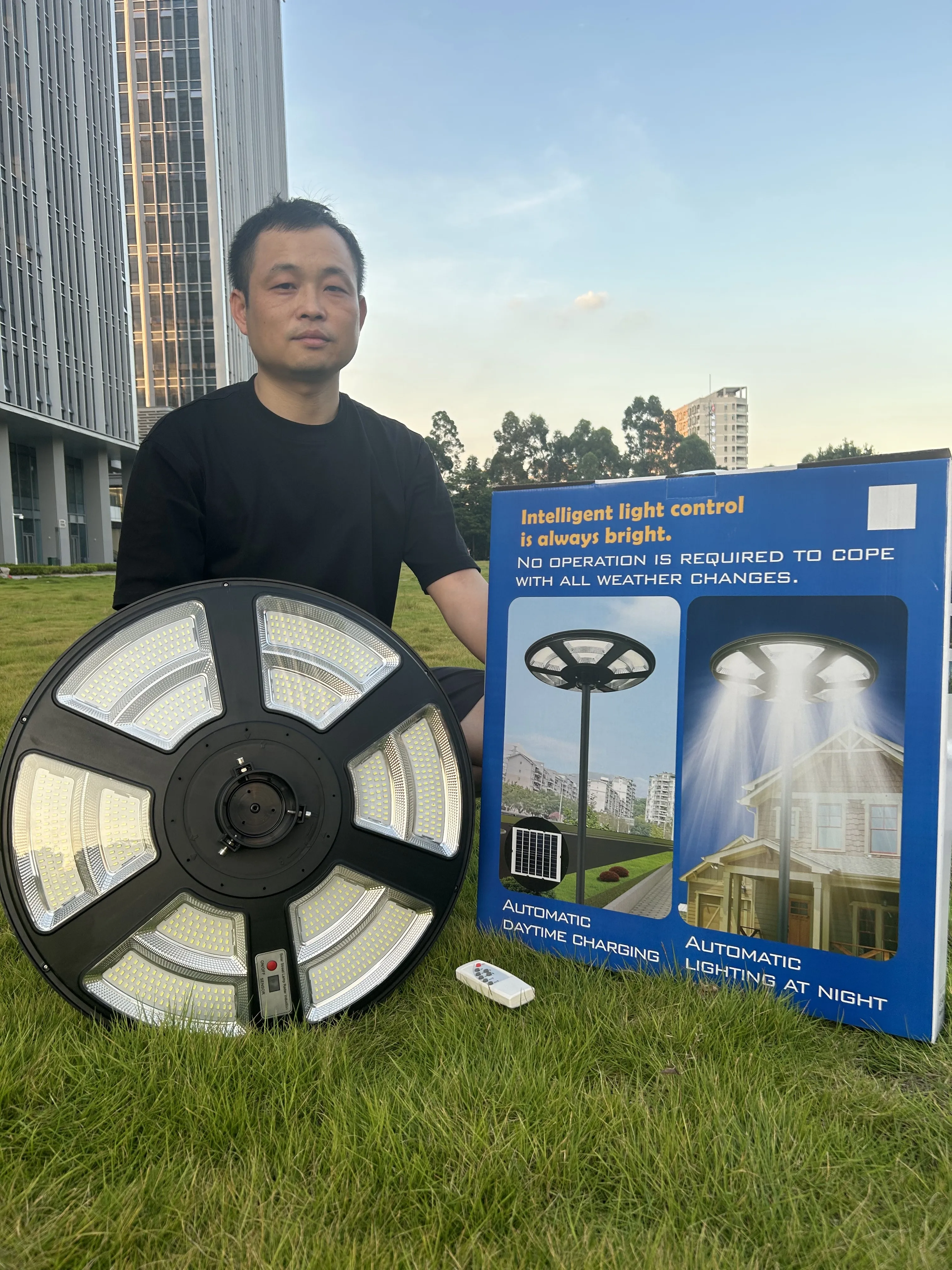 20W Solar LED Garden Light SMD Chip RGB Color Temperature Waterproof IP65 Outdoor Landscape Roads DC Power Supply Motion Sensor