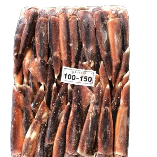 Illex Squid Whole Round WR new stock