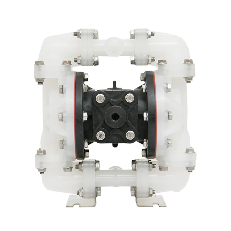Маленький воздушный двойной диафрагменный насос с PTFE диафрагмой S05B2P2TPNS000