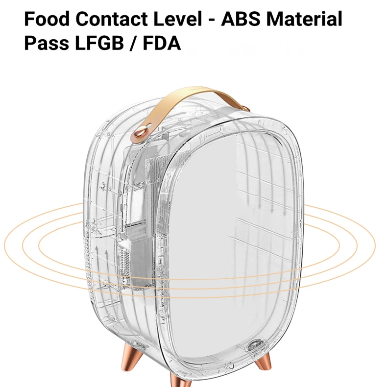 2022 New 6l Portable Mirrored Beauty Mini Skincare Fridge With Led Lighting Makeup Mirror