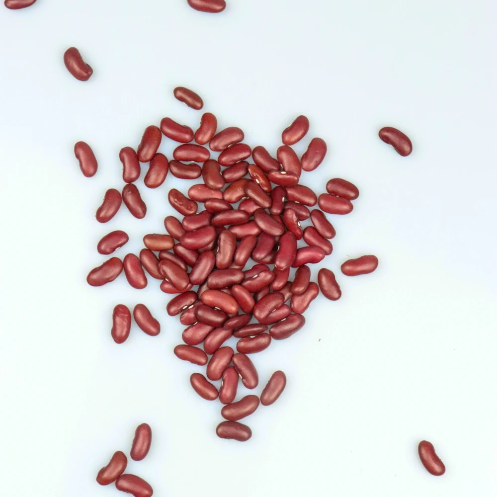 
2019 adzuki bean price 