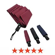 Folding Umbrella