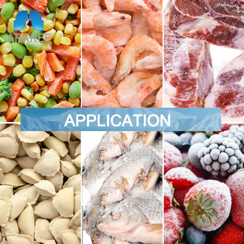 Individual Spiral Quick Freezer Spiral Iqf For Vegetable/meat/seafood Processing Plant