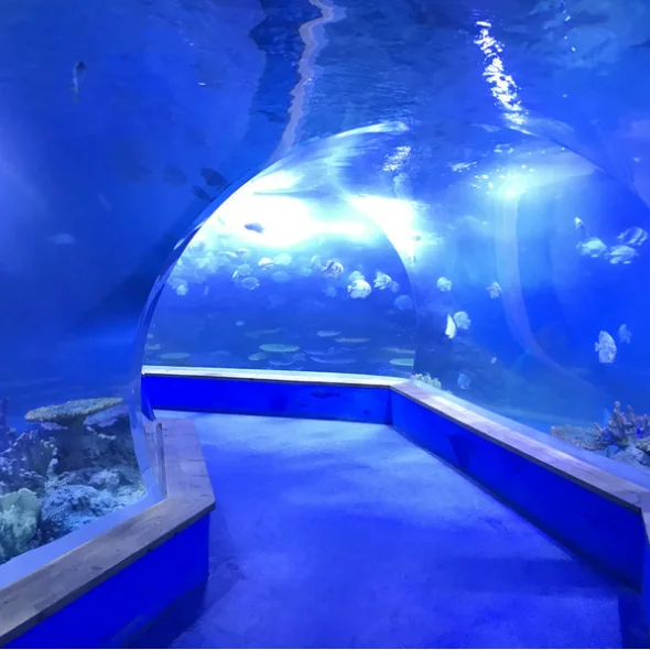 Prima акриловый аквариумный туннель литой подводный с акриловым стеклянным туннелем