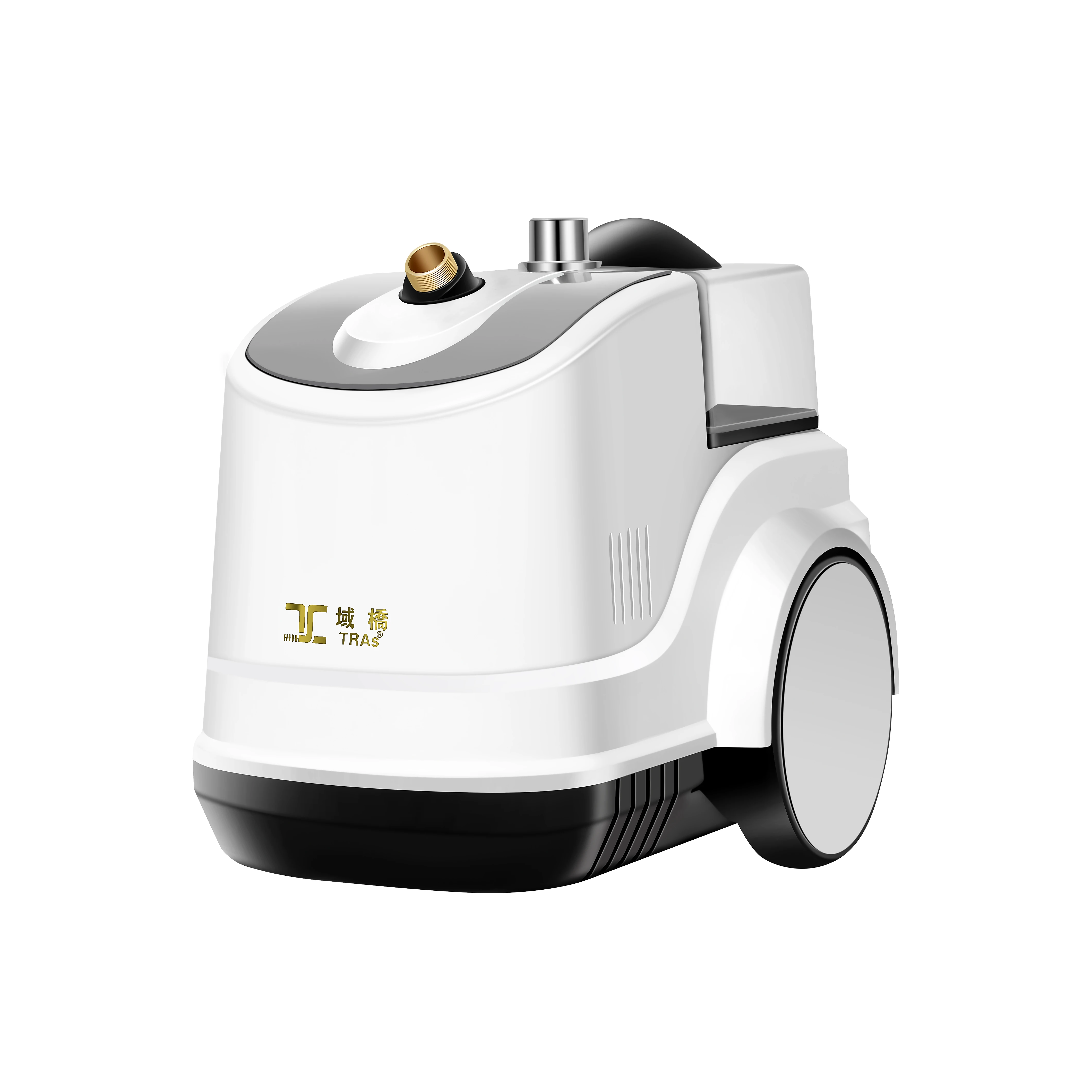 Heavy duty 3L large capacity 2000W industrial use vertical clothes ironing commercial garment steamer