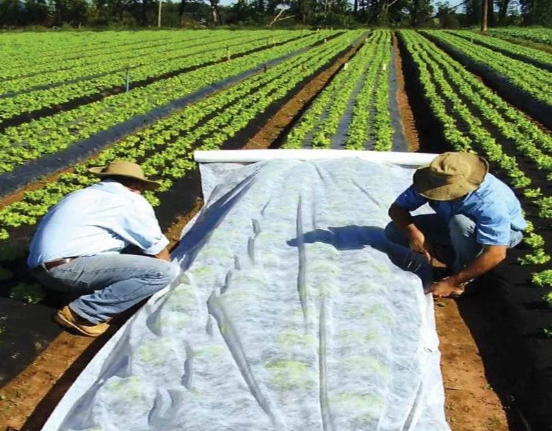 PP agricultural nonwoven fabric pp non woven roll crop row cover cheap price