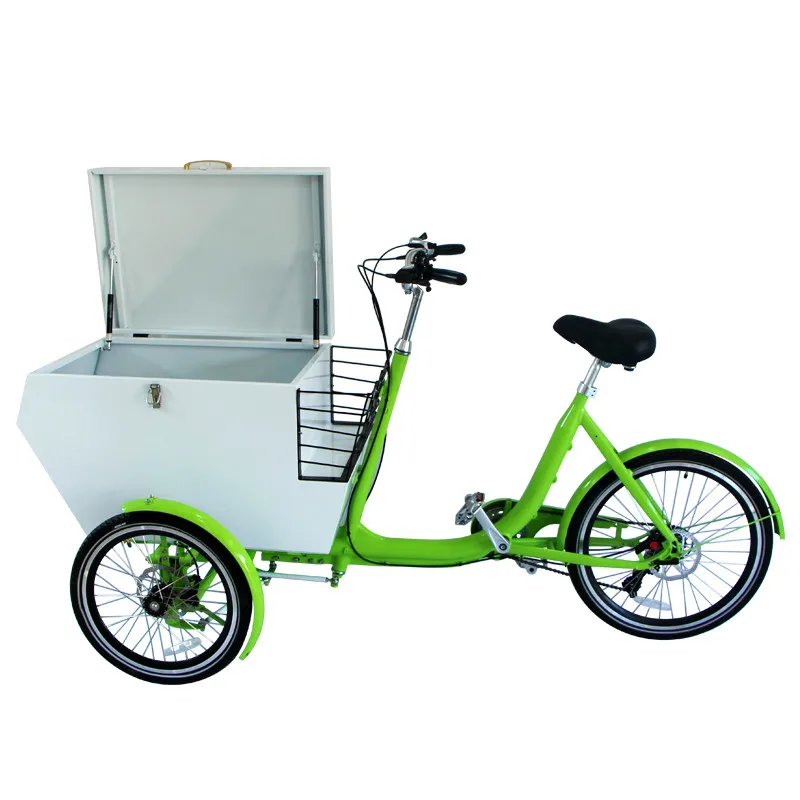 Express Cargo Bike 3 Wheel Cargo Trike China Manufacture