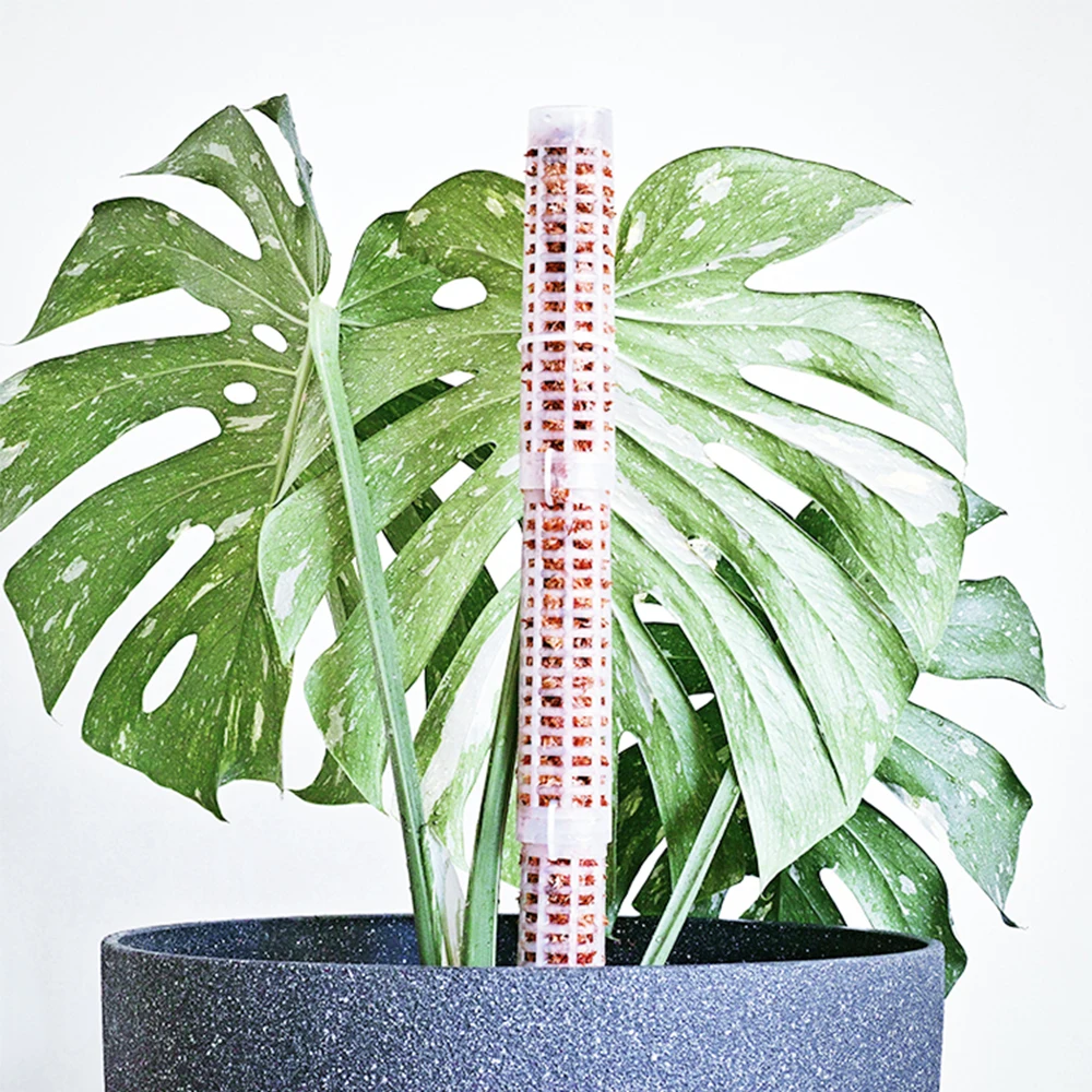 40*285mm 2021 High Quality Jiangyin Jiuhong Plant support Moss columns sphagnum climbing column