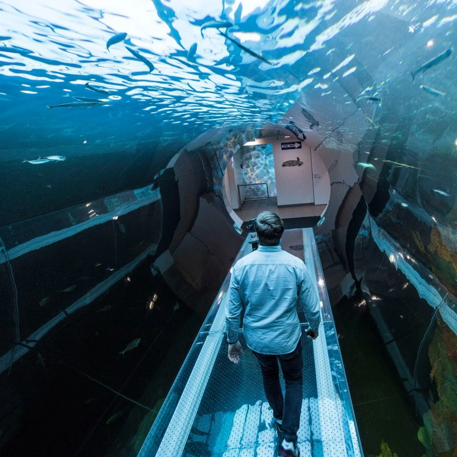 Подводный прозрачный акриловый стеклянный туннель для аквариумов с высоким коэффициентом пропускания 100%