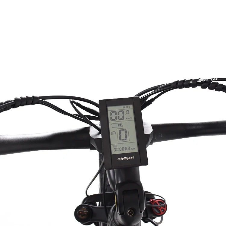 Customized Disc Brake Three-wheel Freight Bicycle 500w Lithium Battery Electric Cargo Bike