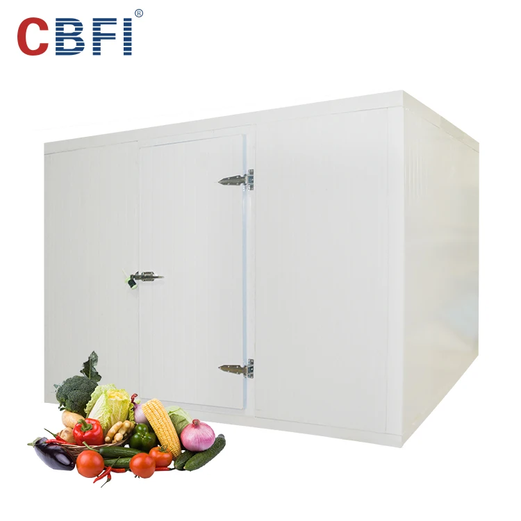 Hot selling Cold Storage Cold Room Cooling System ,  Frezeer Room For Meat And Fish