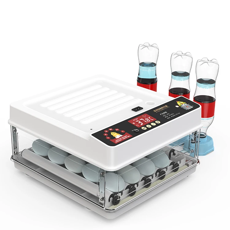Household Use Dual Power Supply 30 Capacity Automatic Small Hatcher Eggs Incubators