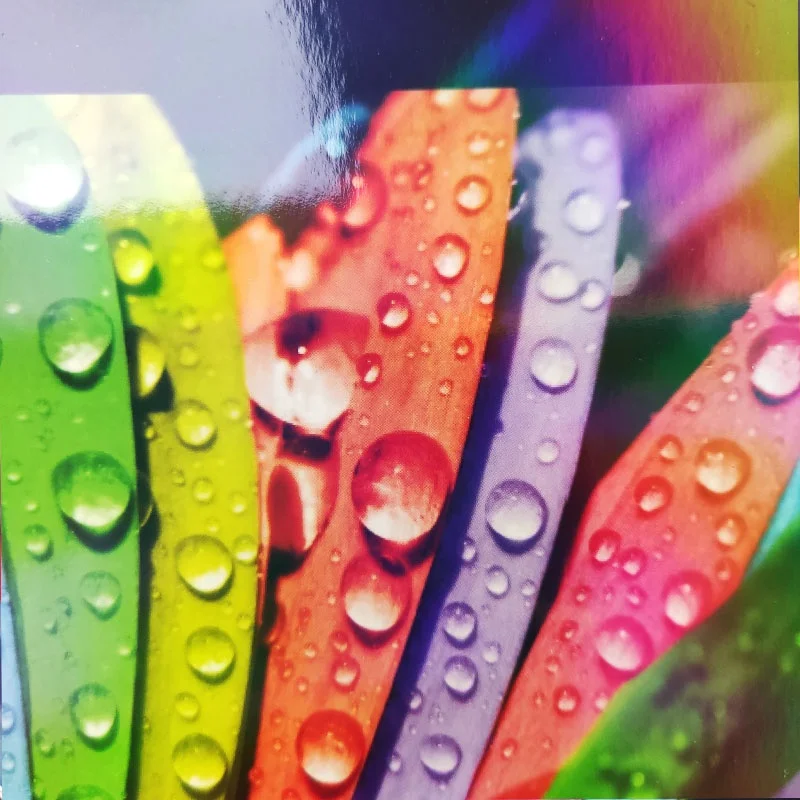 Different Pattern Transparent  BOPP Holographic Metalized  Lamination Film for Paper Board