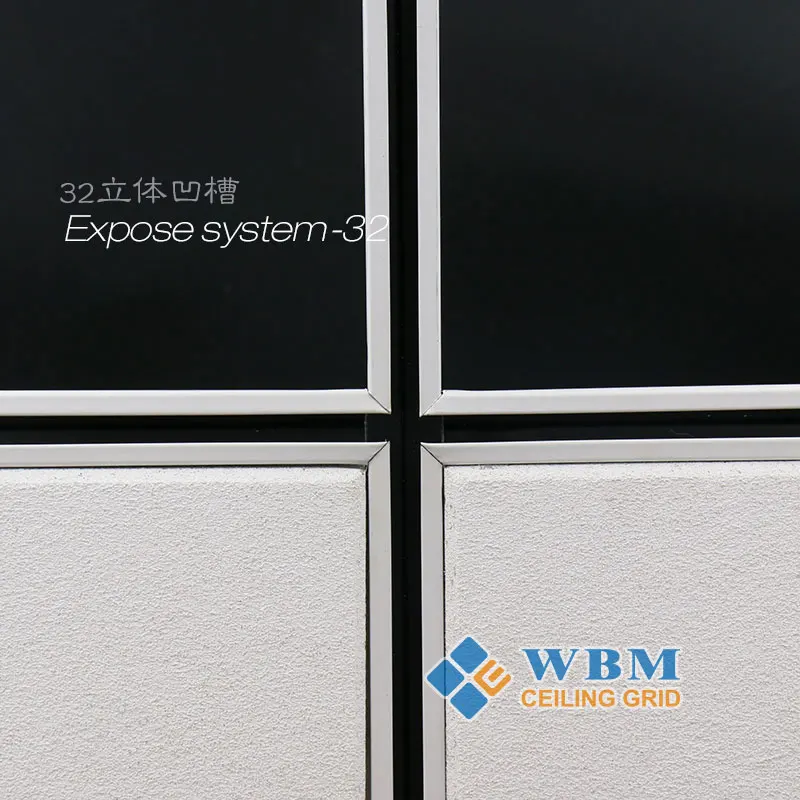 Expose Suspended Ceiling Main Tee System Ceiling Grid Components Stainless Steel Manufacturer and Factory White Line Apartment