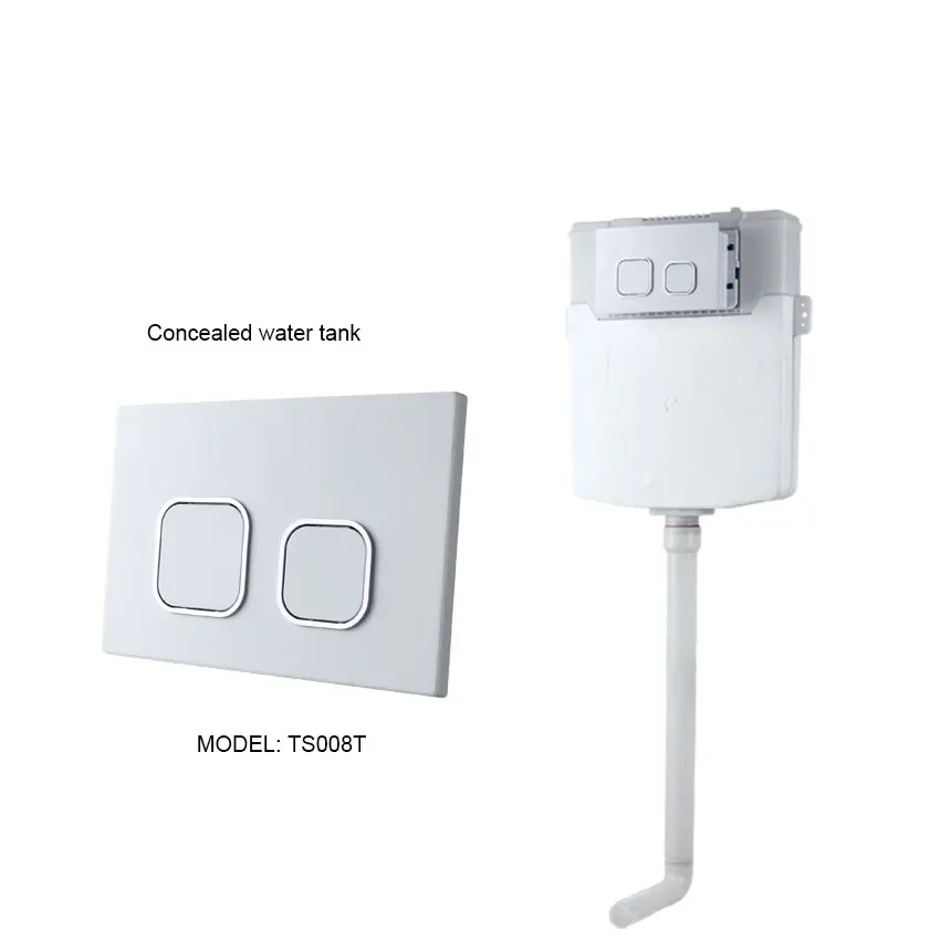 WC toilet cistern Toilets Concealed Luxury Floor Mounted  Cistern back to wall toilet and bathroom design