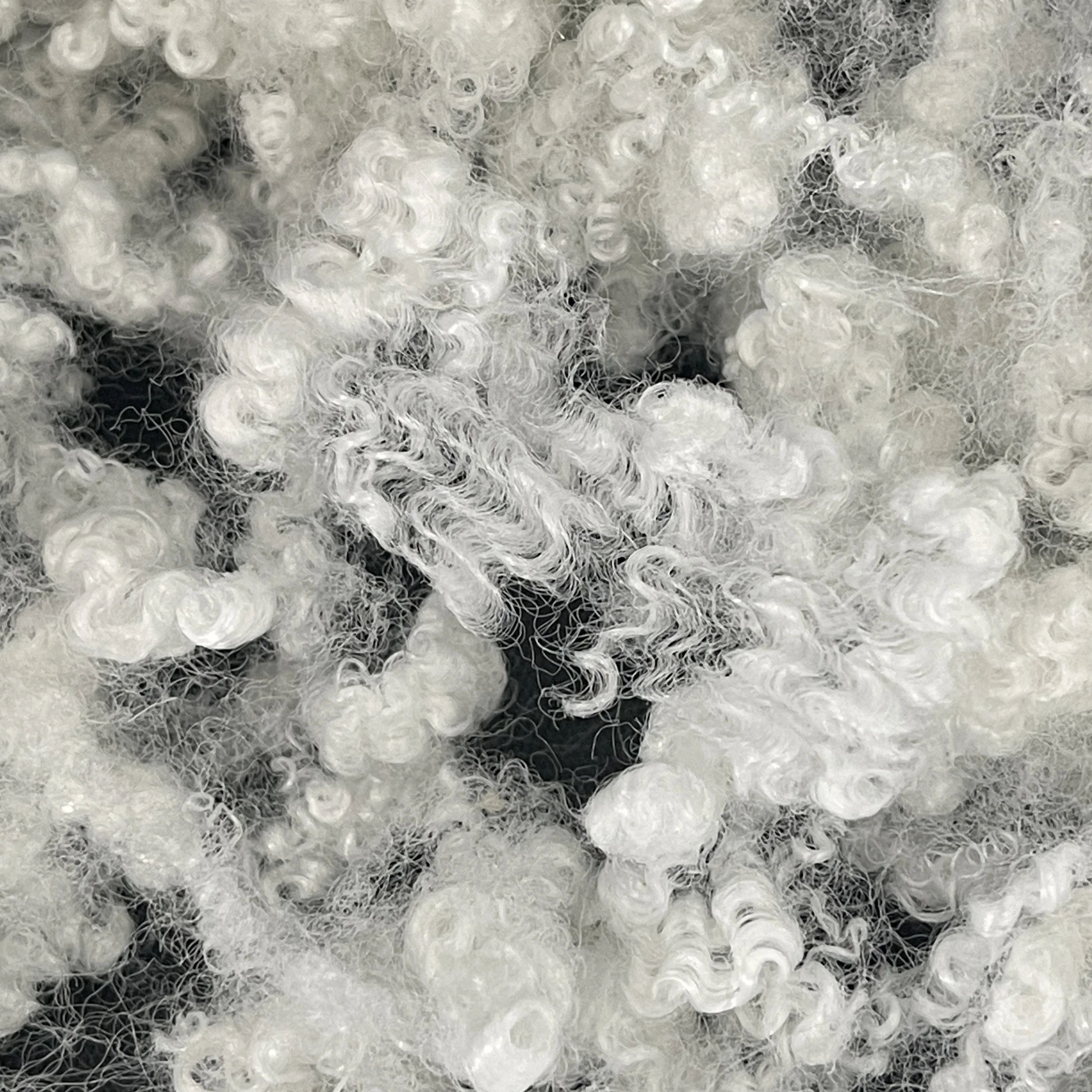 Polyester Hollow Conjugated Silicon Fiber 7D * 64mm HCS Staple for Garment Filling Wholesale