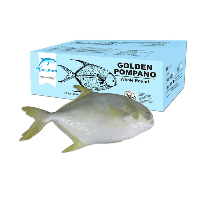 Farming Golden Pompano Fish Frozen White Pomfret Fish
