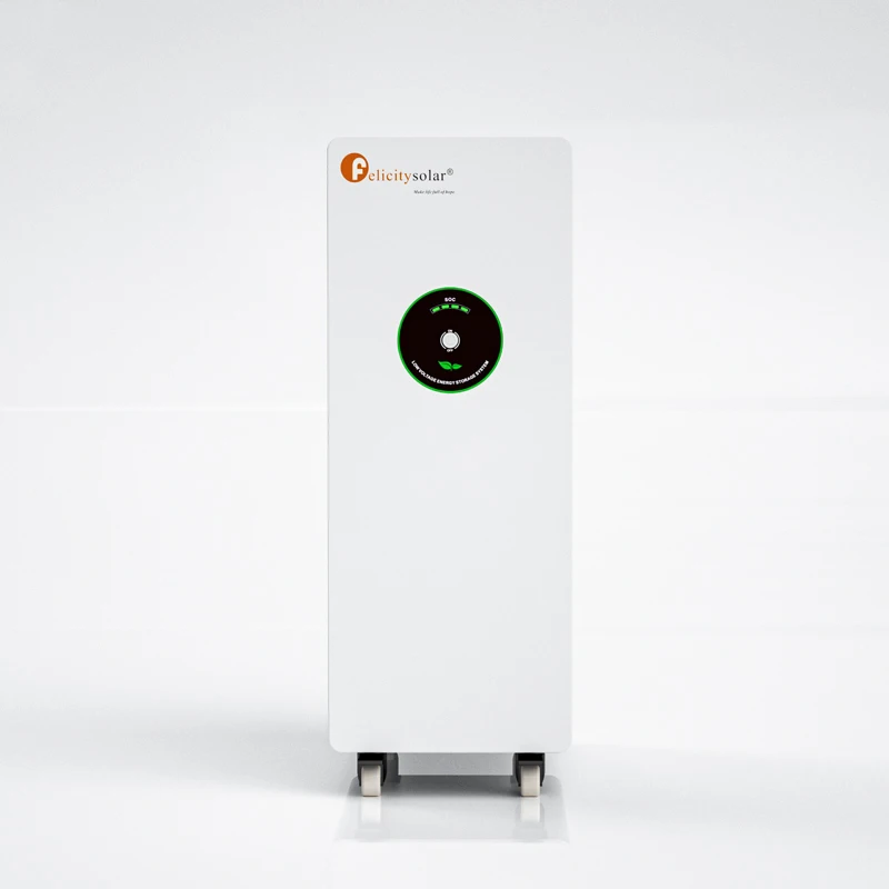 Felicitysolar 12.5kwh Battery with built-in Smart BMS LifePo4 48v 250ah Lithium Ion Battery Farm Garden Yard Garage Battery