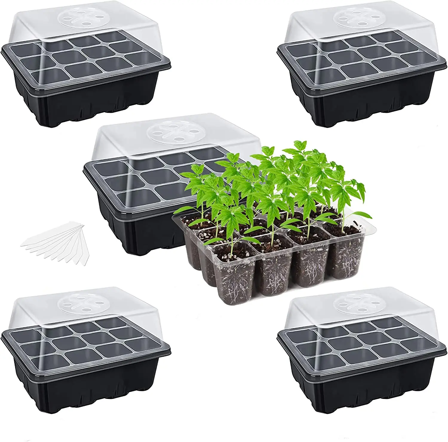 Seed Starter Tray Seedling Kits Plant Starter Kit with Adjustable Humidity Dome and Base Indoor Greenhouse Propagator for Seeds