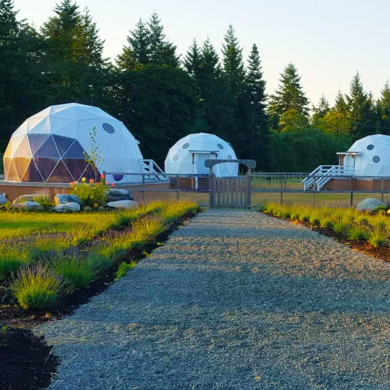 Outdoor exhibition dome transparent Starry roof tent aluminium alloy party tent hotels including weddings