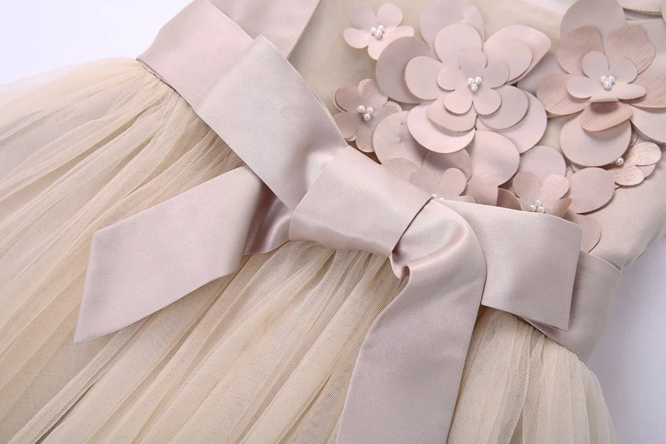 Pettigirl Sleeveless Khaki Girl Holiday Dresses 3D Floral Appliques Soft Tulle Flower Girl Dress Princess Dress Up Clothes
