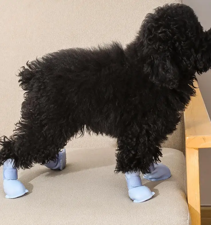 Winter warm pet foot gloves Rainy walking dog shoes snow dog foot gloves