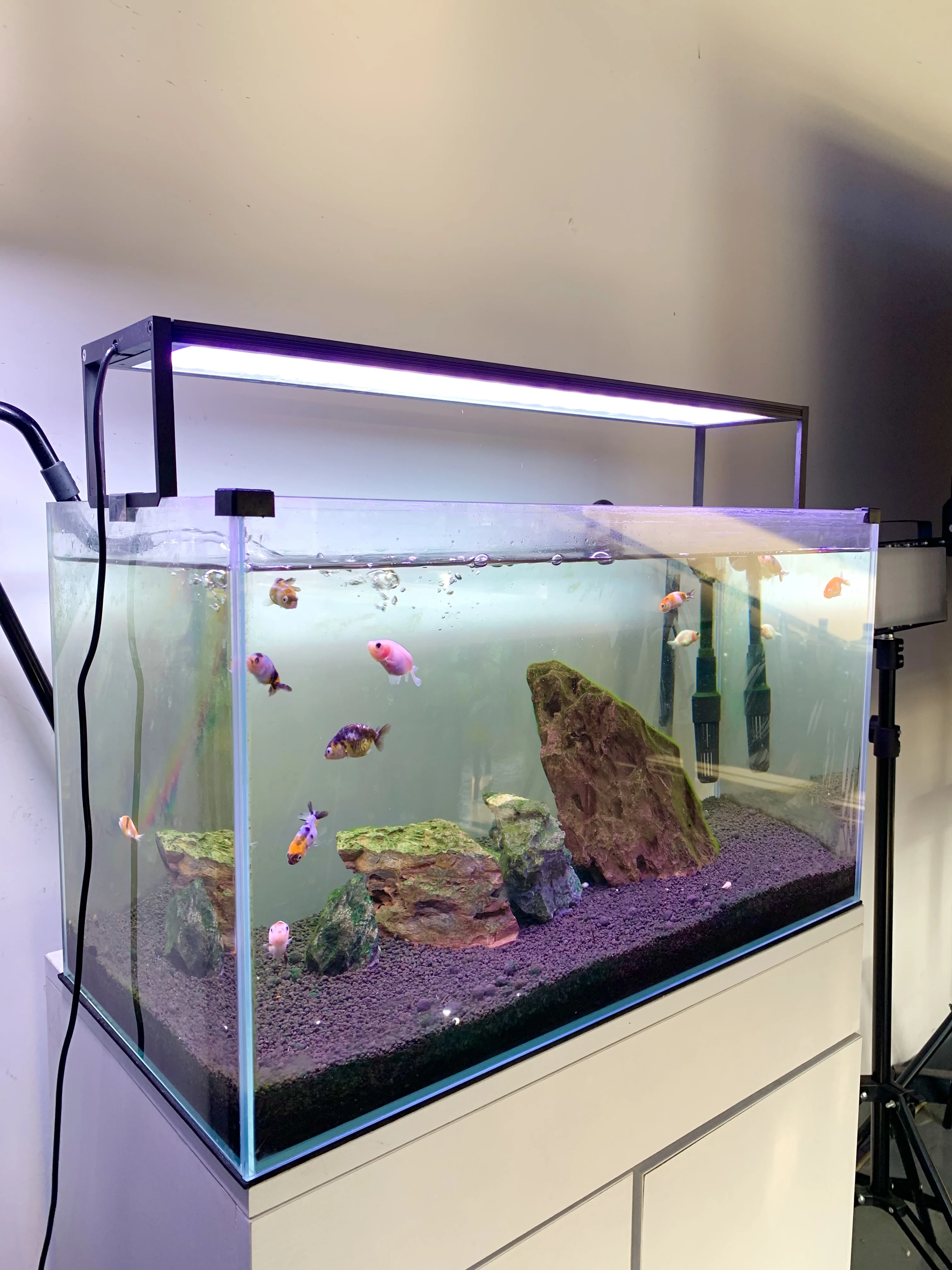 MICMOl The cheapest  Extreme II 450 WRGB Soft Light Energy  LED Aquarium Light for 45~60cm fish tank