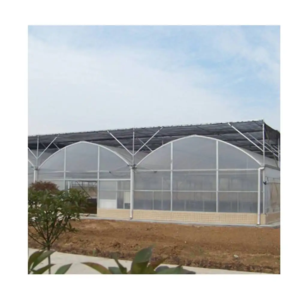 High Quality Commercialized Agricultural Film Greenhouse Intelligent Glass Multi Span Greenhouse