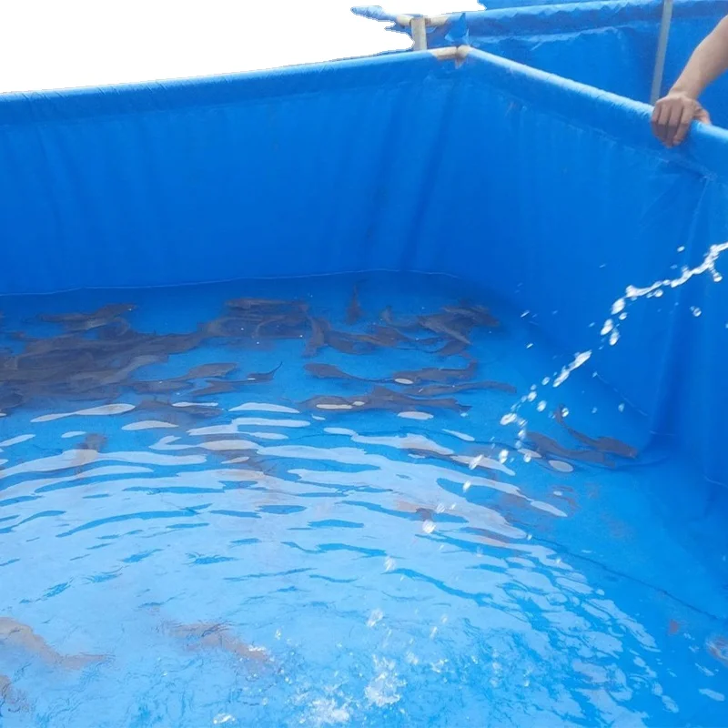 New Products Waterproof PE Tarpaulin Sheet 300gsm Plain Style Woven Technics Anti-UV Coating for Covering Industrial Equipment