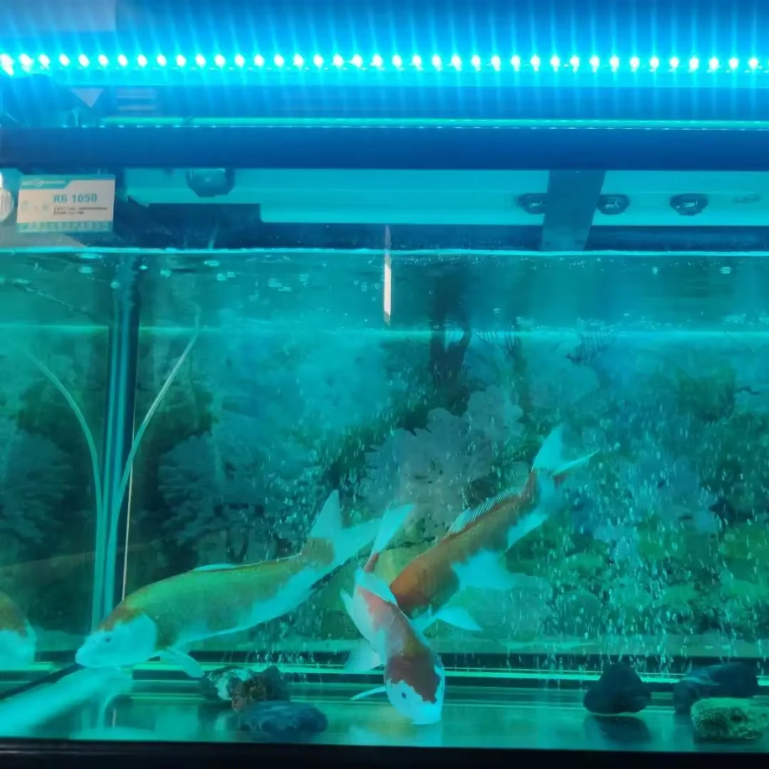 Hot selling LED lamps aquarium decorative lighting plant growth LED lights fish tank LED aquarium lights