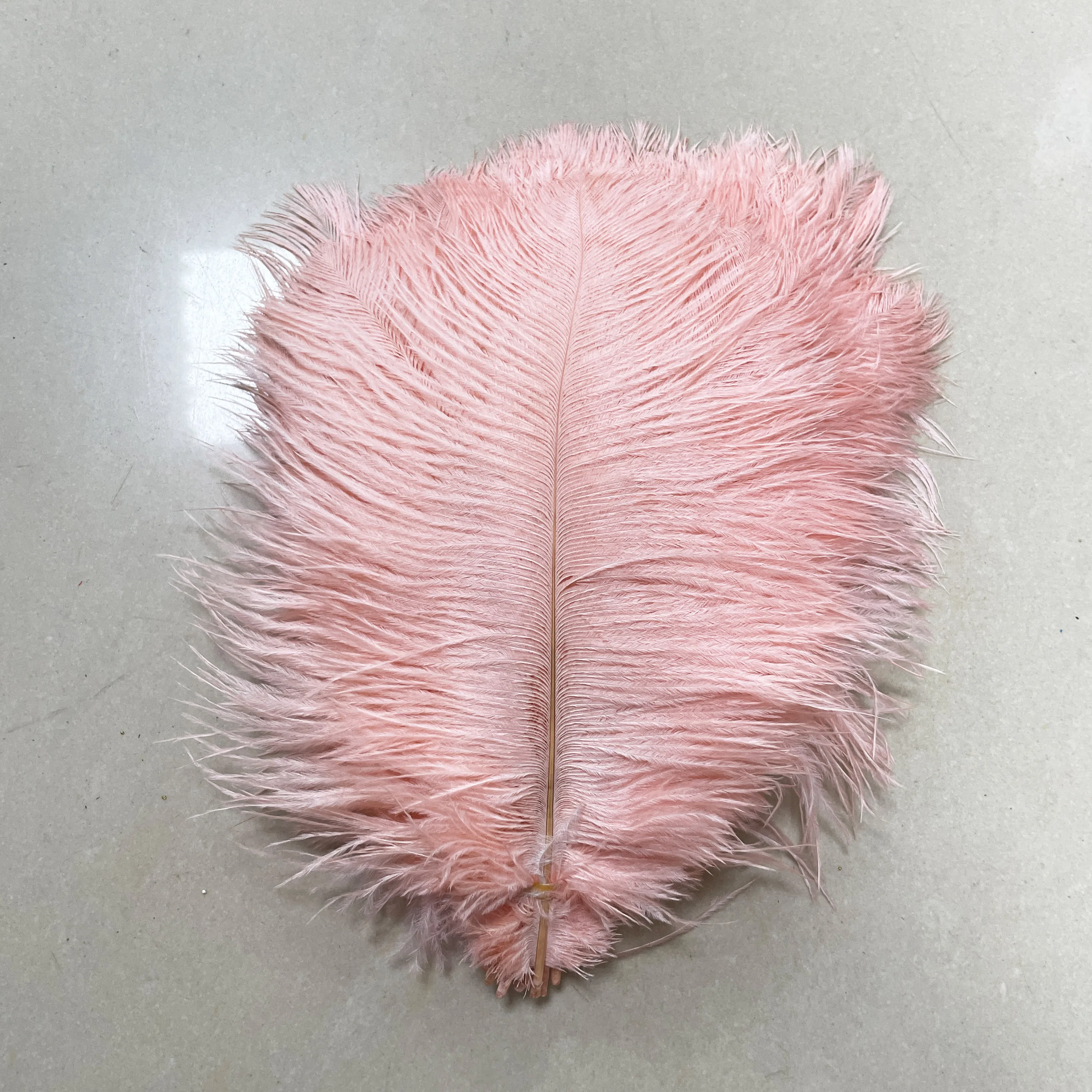 Wholesale Ostrich Feathers Hot-selling Gorgeous Natural Ostrich Feather For Diy Clothes Decorations Ostrich Feather