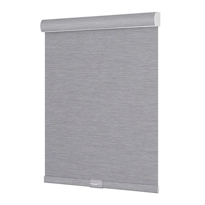 Motorized remote electric roller blind smart roller blinds for windows