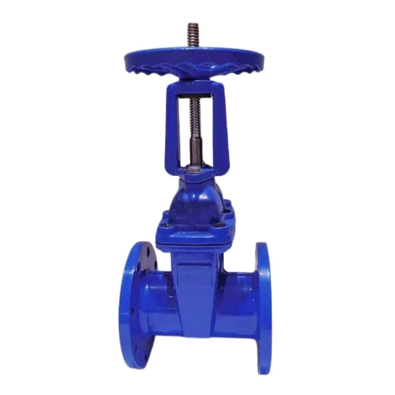 Manual Cast steel fully lined tetrafluoro flanged gate valve rising stem  Z41F46-16C Corrosion and acid and alkali resistant